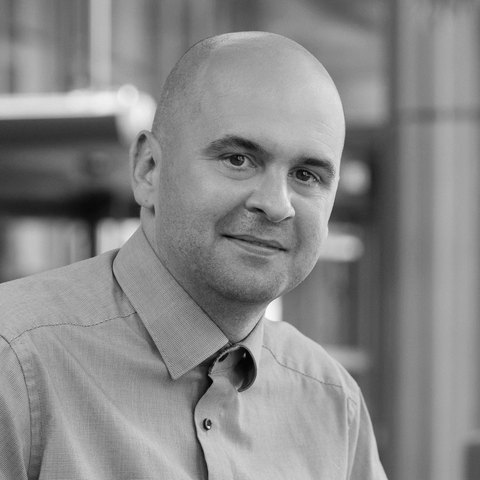 Prof. Dr. Šarūnas Grigaliūnas